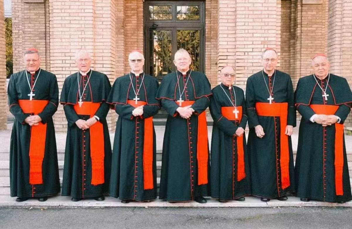 Cardeais brasileiros